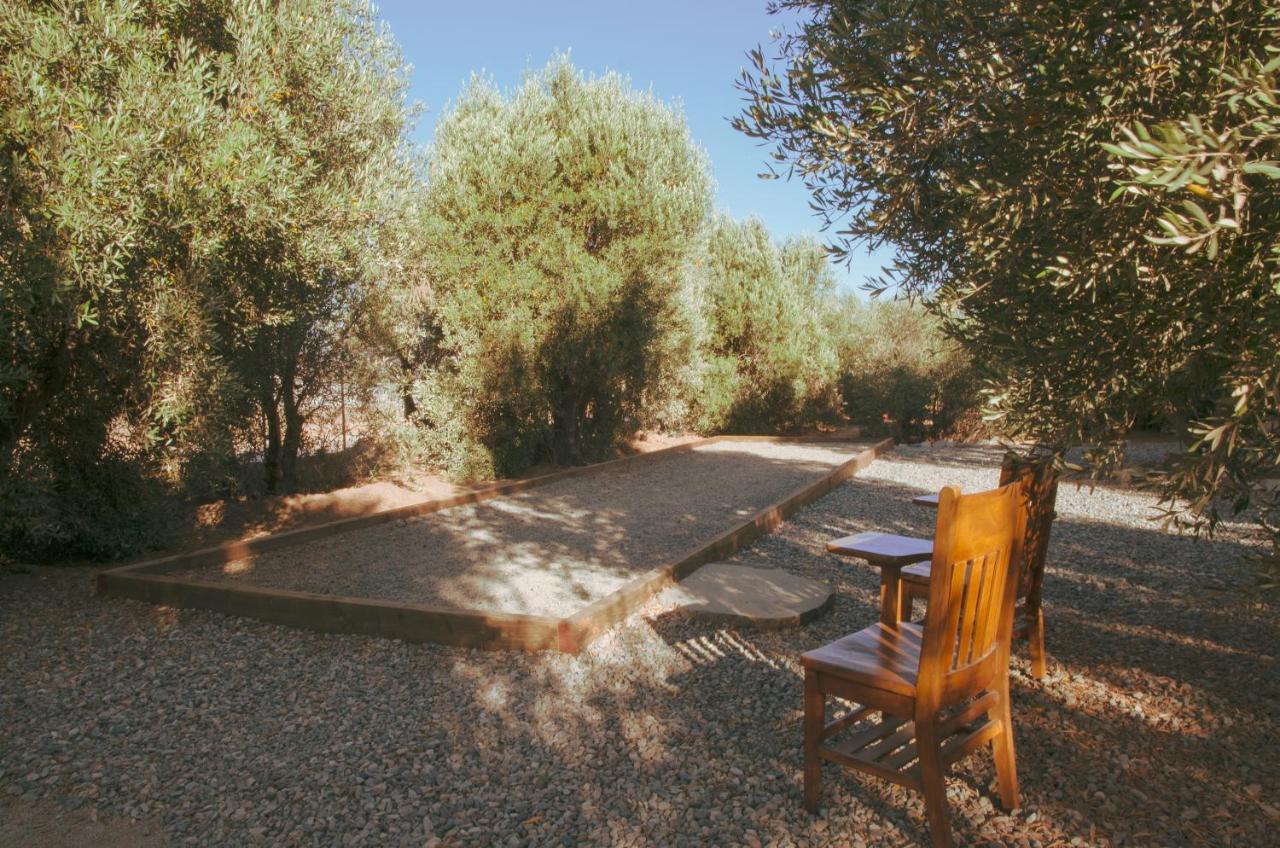 Alma Liebre Vinedos Del Valle Valle de Guadalupe Εξωτερικό φωτογραφία