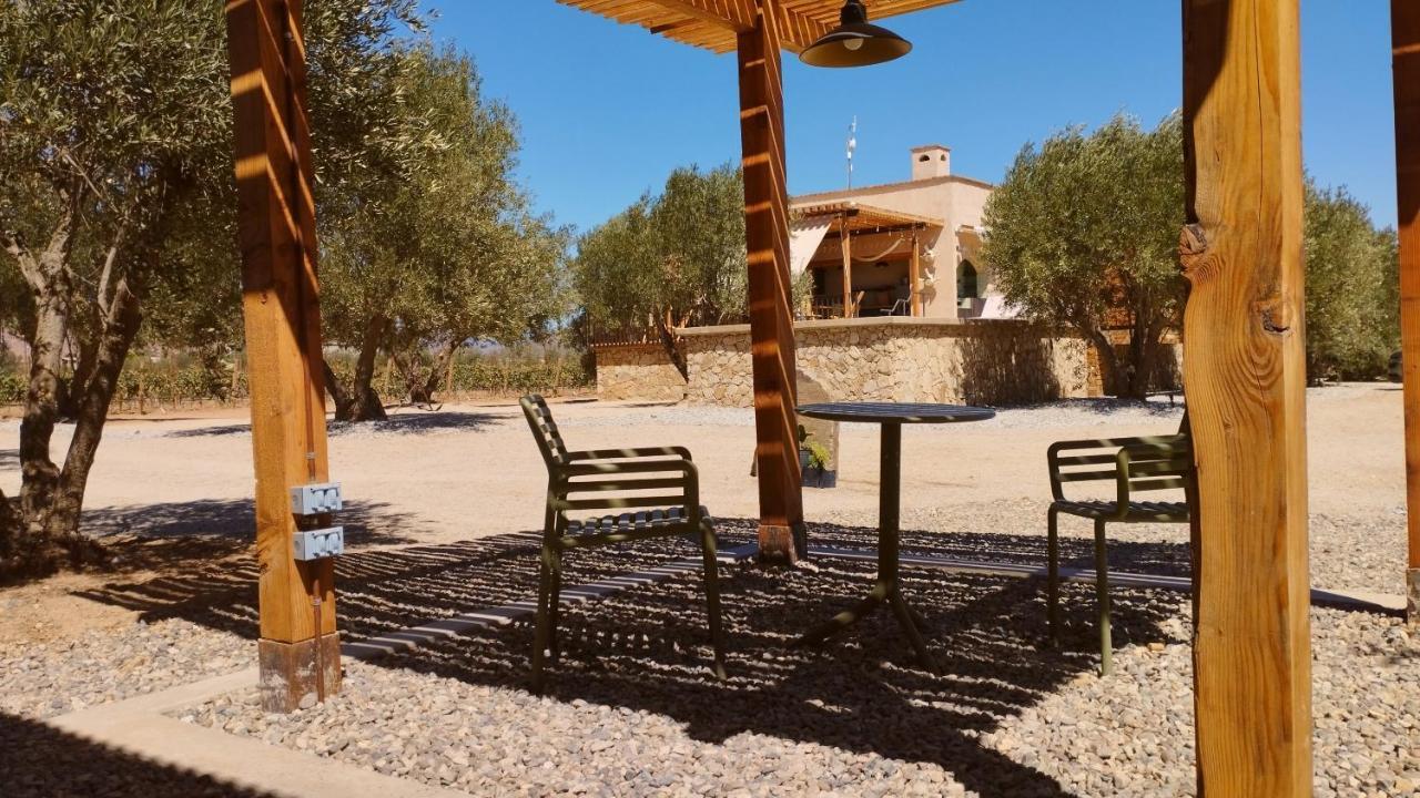 Alma Liebre Vinedos Del Valle Valle de Guadalupe Εξωτερικό φωτογραφία