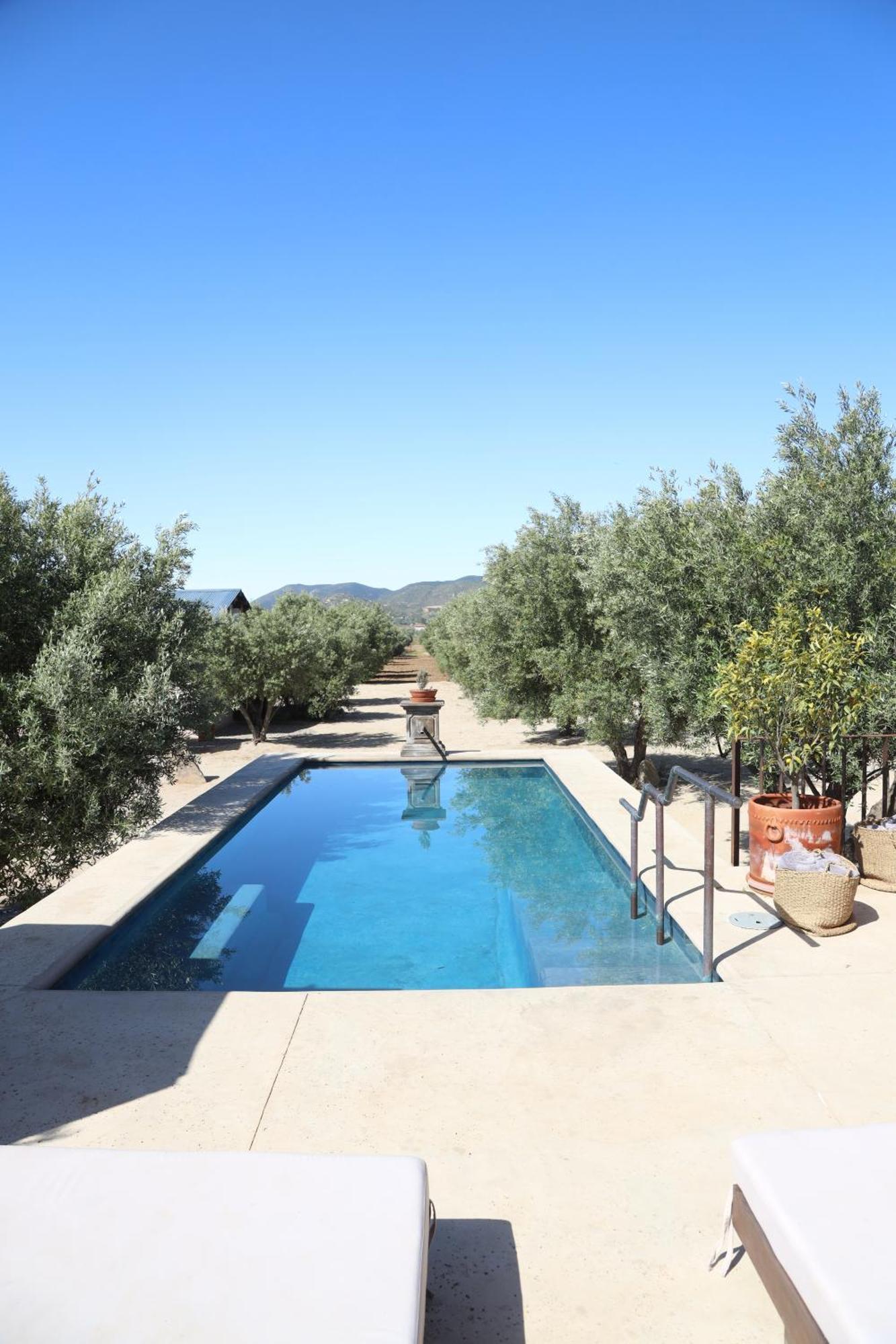 Alma Liebre Vinedos Del Valle Valle de Guadalupe Εξωτερικό φωτογραφία