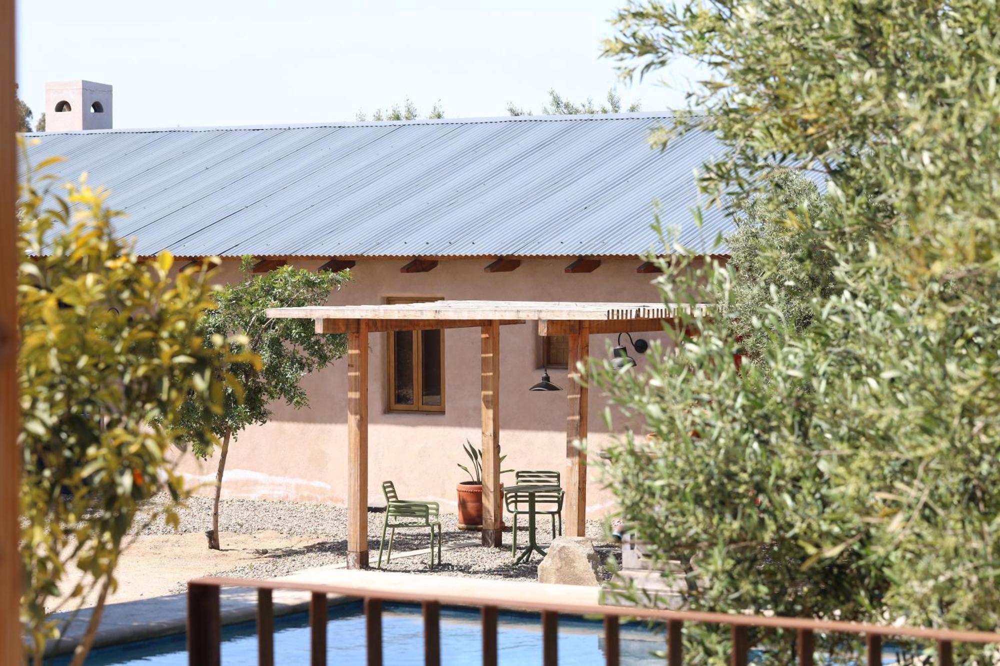Alma Liebre Vinedos Del Valle Valle de Guadalupe Εξωτερικό φωτογραφία
