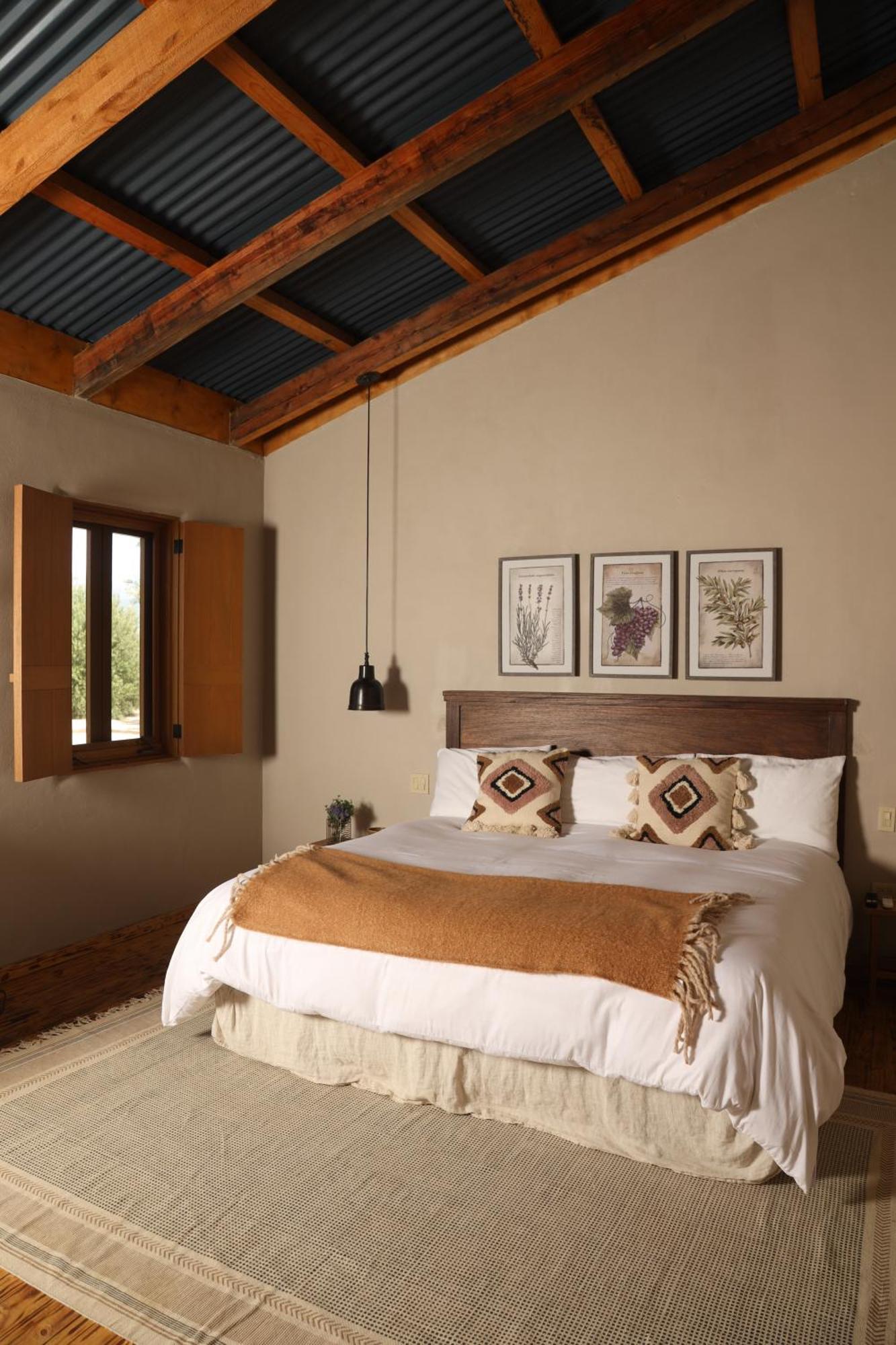 Alma Liebre Vinedos Del Valle Valle de Guadalupe Εξωτερικό φωτογραφία