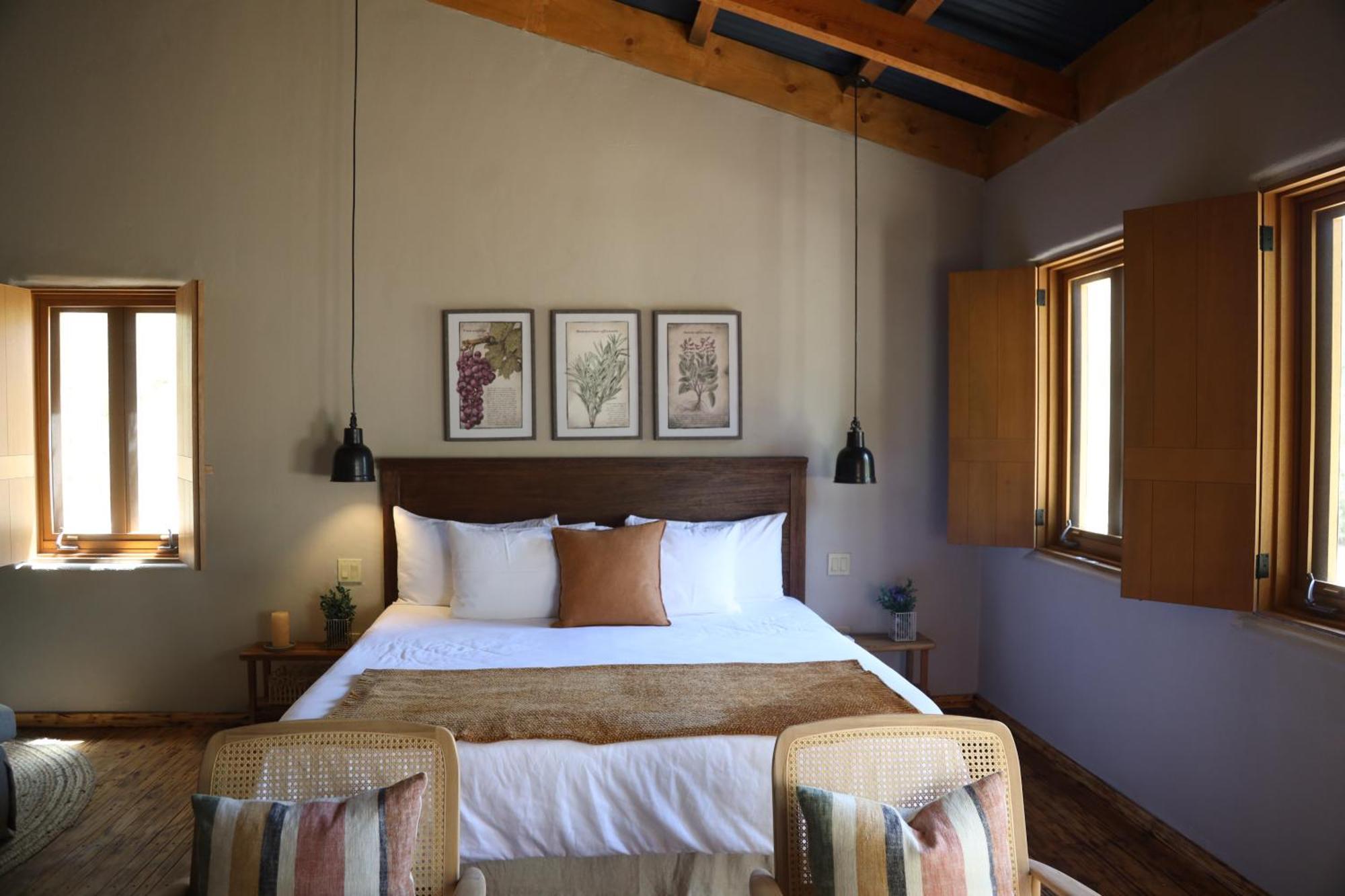 Alma Liebre Vinedos Del Valle Valle de Guadalupe Εξωτερικό φωτογραφία