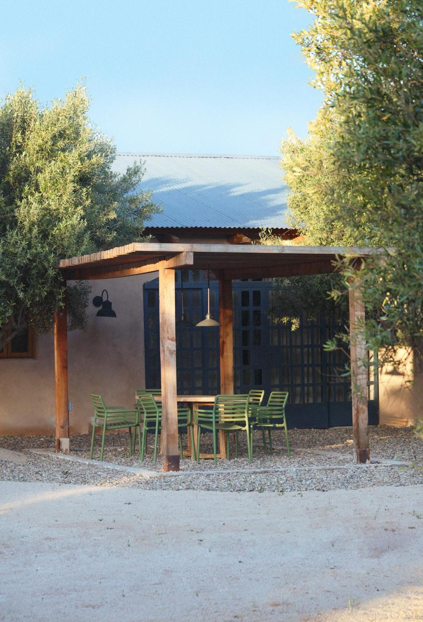 Alma Liebre Vinedos Del Valle Valle de Guadalupe Εξωτερικό φωτογραφία